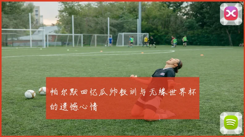 帕尔默回忆瓜帅教训与无缘世界杯的遗憾心情