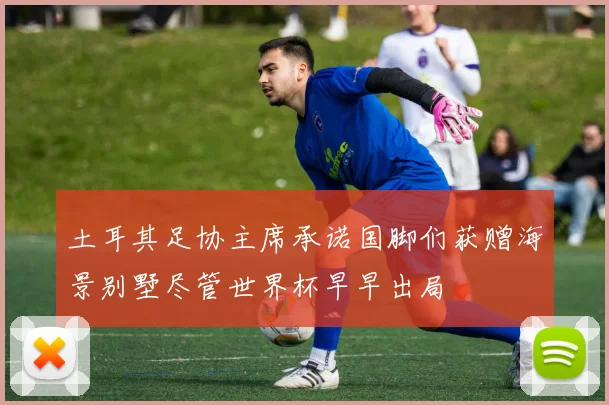 土耳其足协主席承诺国脚们获赠海景别墅尽管世界杯早早出局